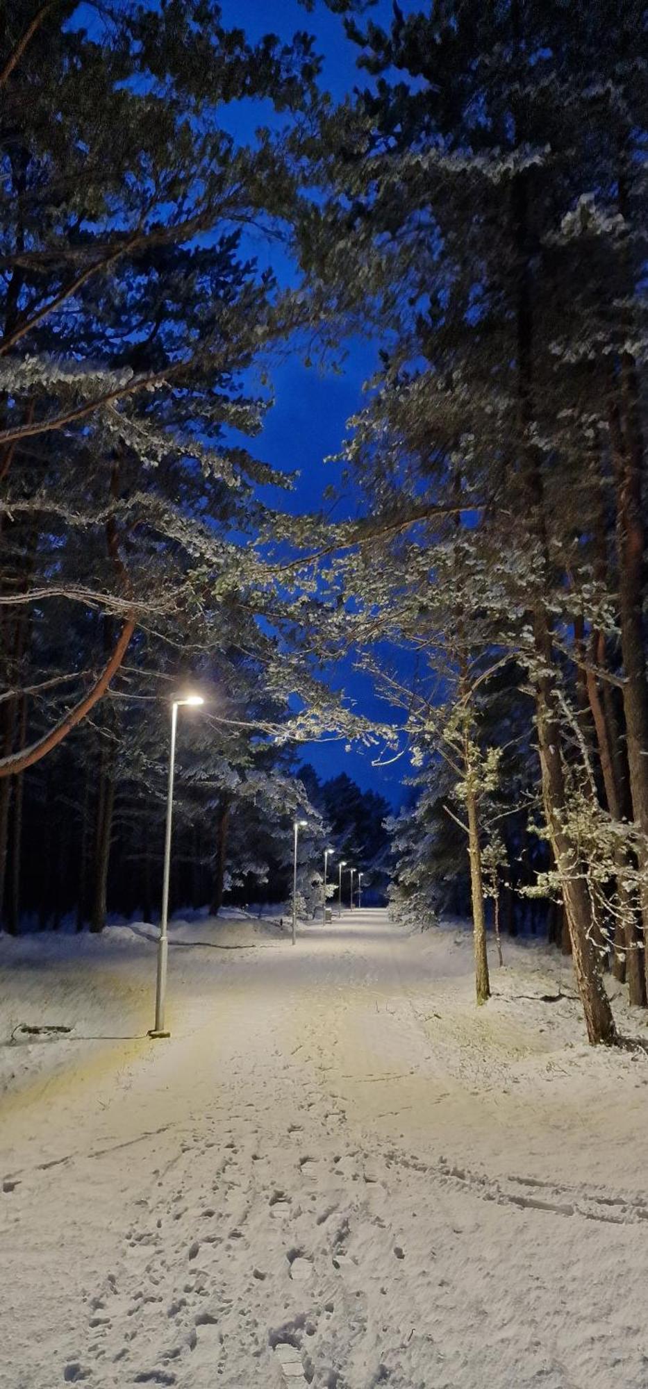 Rasos Vila Palanga Buitenkant foto